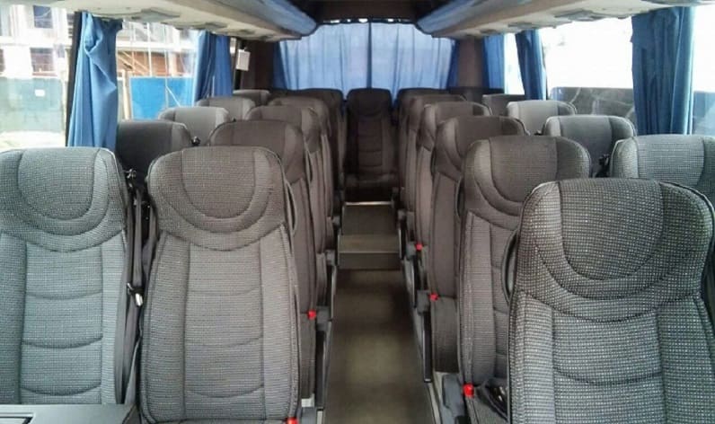 Romania: Coach hire in Botoșani County in Botoșani County and Botoșani
