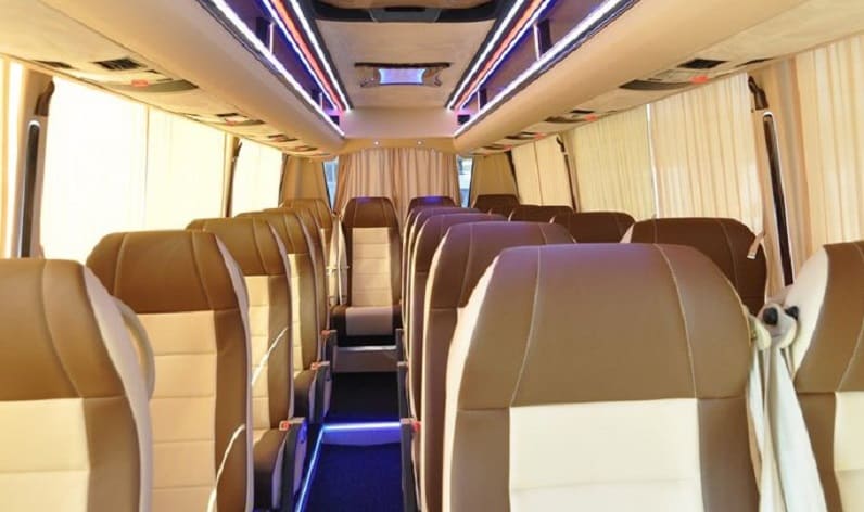 Romania: Coach reservation in Moldova in Moldova and Telenești